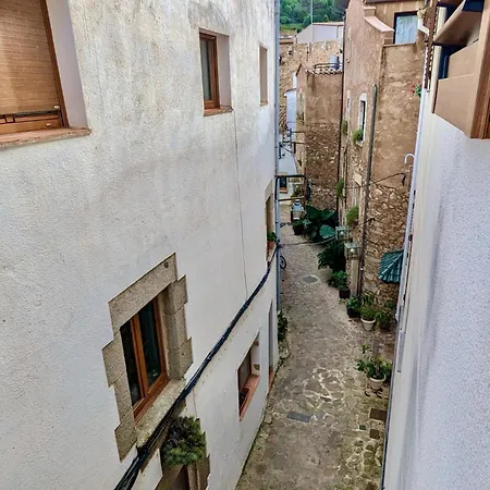 Апартаменти Evh131 Duplex En El Casco Antiguo Тоса-де-Мар