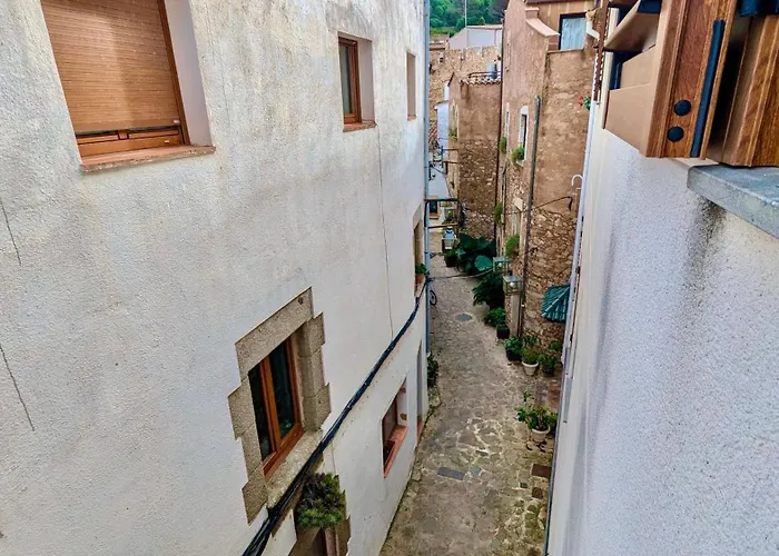 Appartamento Evh131 Duplex En El Casco Antiguo